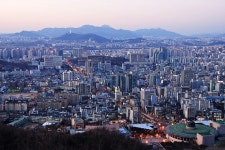 우면산 - 작품갤러리 출사코리아