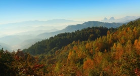 부귀산에서 - 작품갤러리 출사코리아