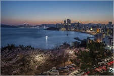 달맞이길 - 작품갤러리 출사코리아