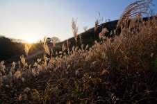 철원 명성산 - 작품갤러리 출사코리아