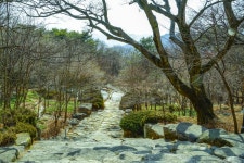 봄을 가다리면서 - 습작갤러리 출사코리아