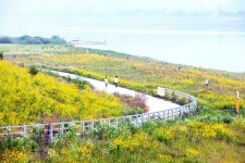 남한강변 - 습작갤러리 출사코리아