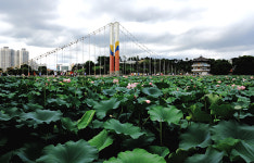 덕진공원 - 습작갤러리 출사코리아