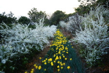 거제 공곶이 - 습작갤러리 출사코리아