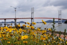 미조 가는길 ... - 습작갤러리 출사코리아