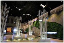 DMZ박물관 - 습작갤러리 출사코리아