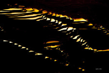 원양제전 - 습작갤러리 출사코리아