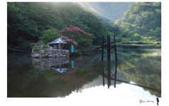 일일레져타운 - 습작갤러리 출사코리아