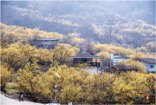 상위마을 - 습작갤러리 출사코리아