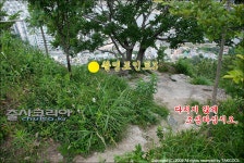 [re] 백산 야경포인트 바위로 가는길! - 지역별 출사지정보 출사코리아