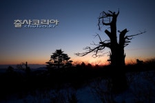 태백산 - 지역별 출사지정보 출사코리아