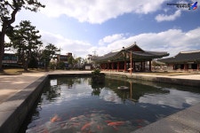 제주,제주시/제주목관아 - 지역별 출사지정보 출사코리아