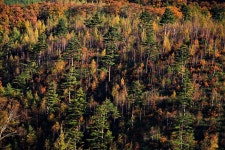 엉또폭포 - 지역별 출사지정보 출사코리아