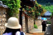 남평문씨 본리 세거지 - 출사지 소식 출사코리아