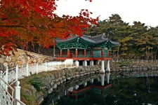 통일전추경 - 출사지 소식 출사코리아