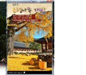 운문사 소식 - 출사지 소식 출사코리아