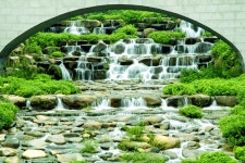 부산 화명동 수목원에 다녀왔습니다. - 출사지 소식 출사코리아