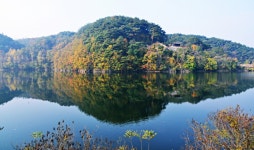 백운정 - 출사지 소식 출사코리아