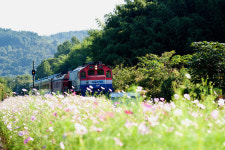 북천역 - 출사지 소식 출사코리아