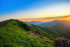 소백산 철쭉 - 출사지 소식 출사코리아