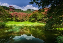 명옥헌이야기4번째 - 출사지 소식 출사코리아