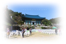 공주 영평사 구절초 끝물 !!! - 출사지 소식 출사코리아