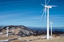 삼양목장 소식입니다. - 출사지 소식 출사코리아