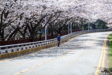 남천동과 달맞이고개 소식 - 출사지 소식 출사코리아