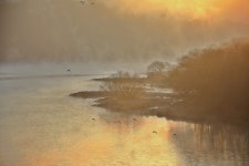 오늘 황강입니다(12/22) - 출사지 소식 출사코리아