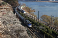 순매원 가실분 참고하이소.(원동역 열차 시간표). - 출사지 소식 출사코리아