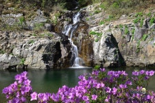 오늘(4/27) 아침 용소폭포 - 출사지 소식 출사코리아