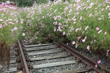 북천역 - 출사지 소식 출사코리아