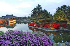 안압지 - 출사지 소식 출사코리아