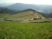 4월의 안반덕 - 출사지 소식 출사코리아