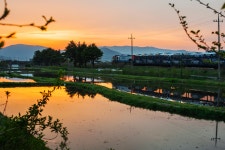 안압지 - 출사지 소식 출사코리아