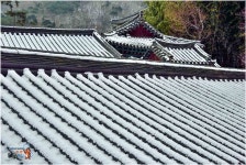 범어사로 . . . - 출사지 소식 출사코리아