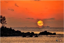 오늘 마린시티 - 출사지 소식 출사코리아