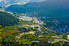 산양마을도 꽝입니다. - 출사지 소식 출사코리아