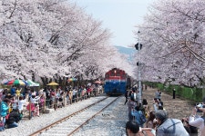 ~~~  경화역 촬영조건 참고 하세요  ~~~ - 출사지 소식 출사코리아