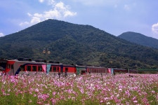 북천역소식 - 출사지 소식 출사코리아