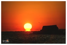 오늘 몰운대 - 출사지 소식 출사코리아