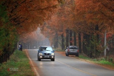 모래재 메타길 소식입니다... - 출사지 소식 출사코리아