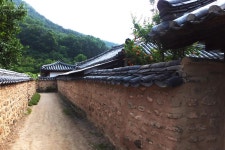 올해는 분위기가 마이 다릅니다... - 출사지 소식 출사코리아