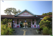 북천역 바람 쒸고 왔십더... - 출사지 소식 출사코리아