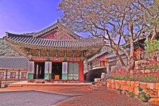 영광 불갑사 꽃무릇 - 출사지 소식 출사코리아