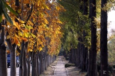 ☆...경주 수목원 - 출사지 소식 출사코리아