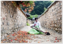 남평문씨세거지 능소화 - 출사지 소식 출사코리아