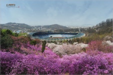 원미산 소식 - 출사지 소식 출사코리아