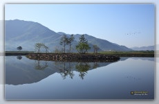 평사리의 또다른 모습~! - 출사지 소식 출사코리아