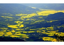 악양골과 평사리 들판 회남재 포인트 - 출사지 소식 출사코리아